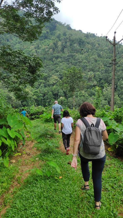 Vanilla County Heritage Plantation Bungalow Vagamon Bagian luar foto