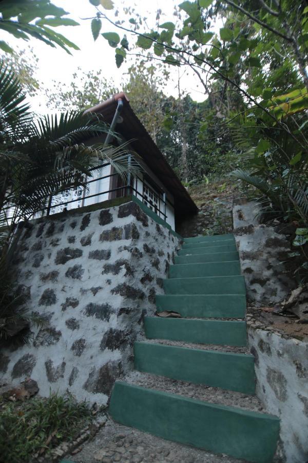 Vanilla County Heritage Plantation Bungalow Vagamon Bagian luar foto