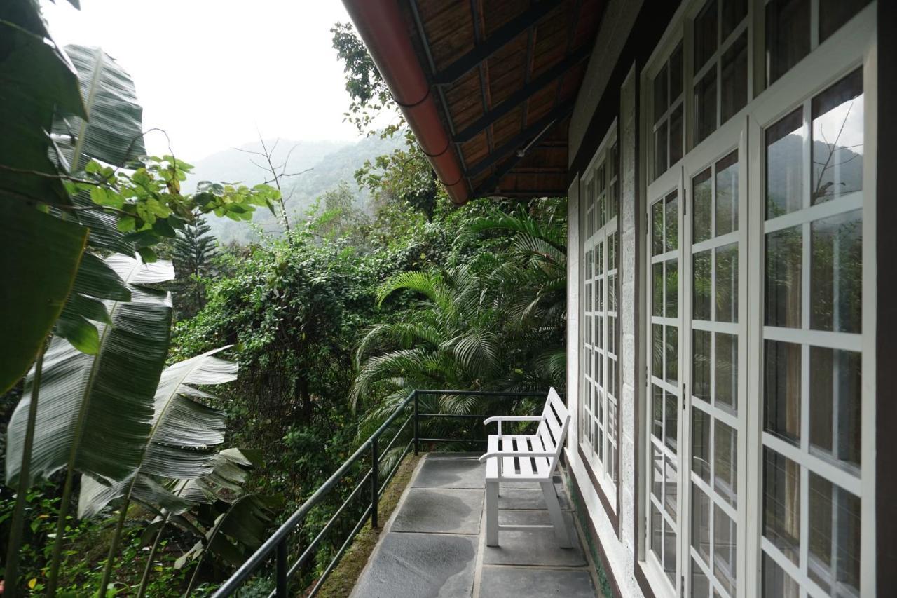 Vanilla County Vagamon Bagian luar foto
