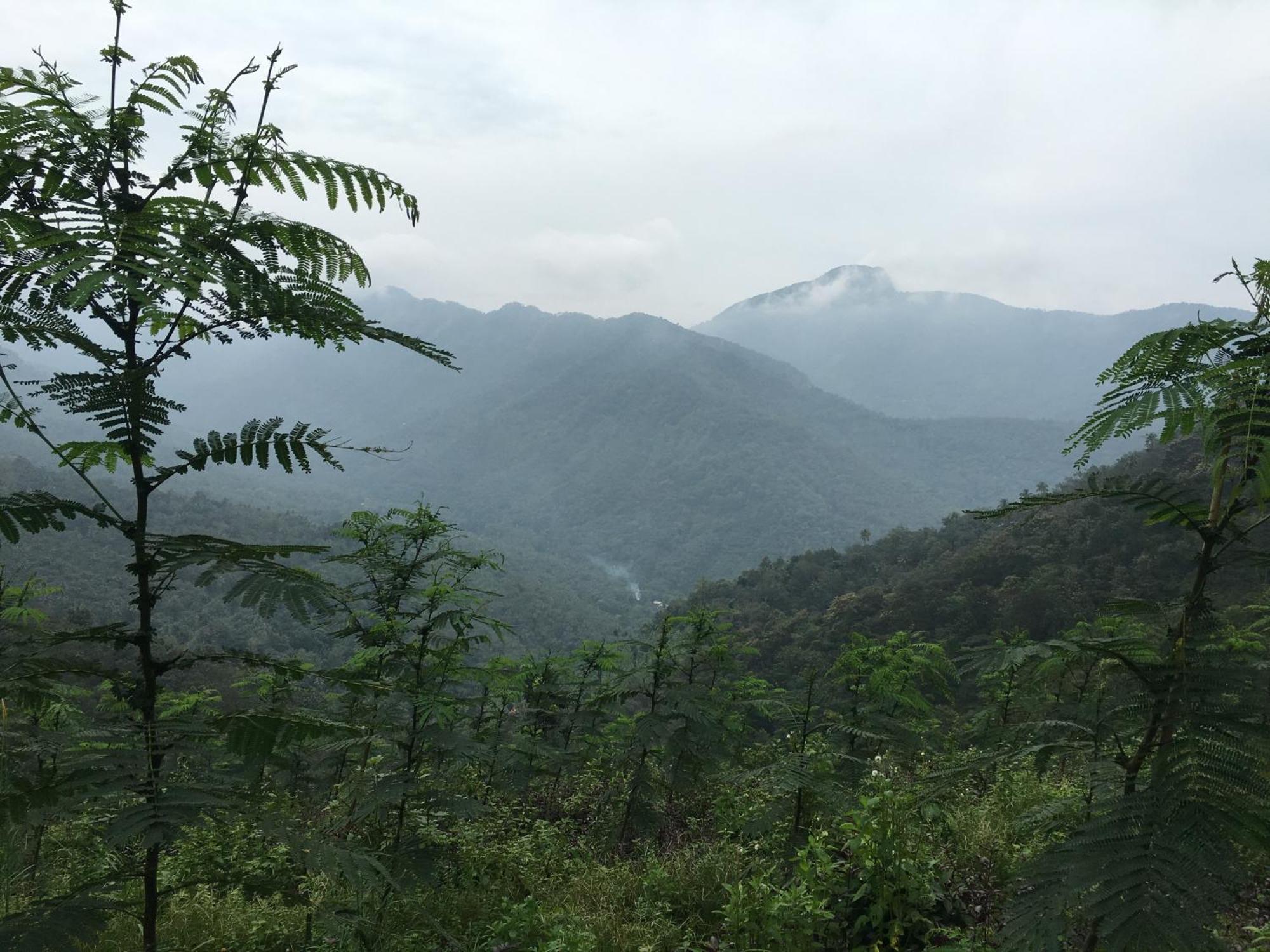 Vanilla County Vagamon Bagian luar foto