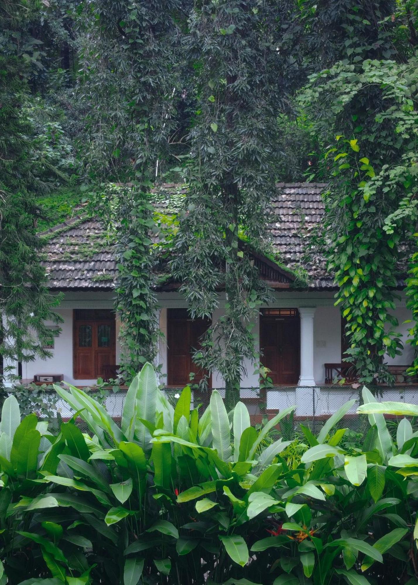 Vanilla County Vagamon Bagian luar foto
