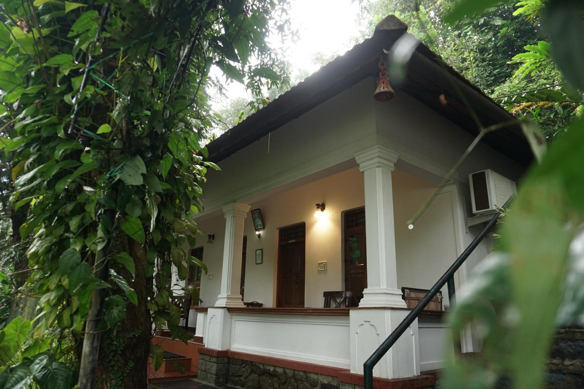 Vanilla County Vagamon Bagian luar foto