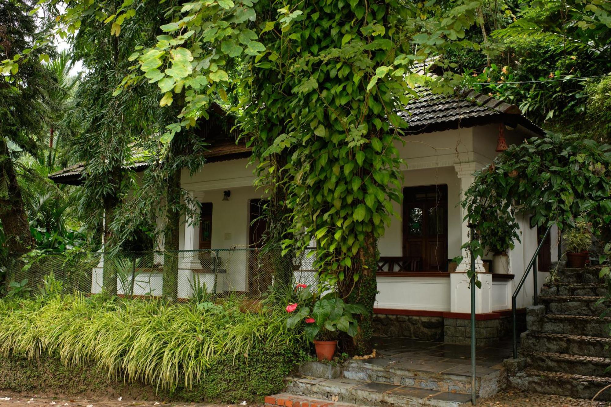 Vanilla County Vagamon Bagian luar foto